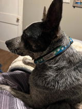 Etsy customer review photo