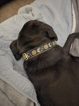 Etsy customer review photo