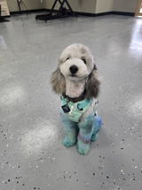 Etsy customer review photo