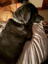 Etsy customer review photo