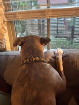 Etsy customer review photo