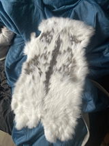 Devski review photo