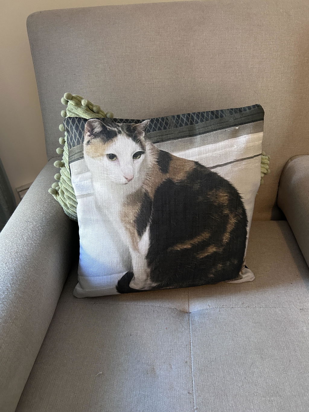 Cat Photo Pillow