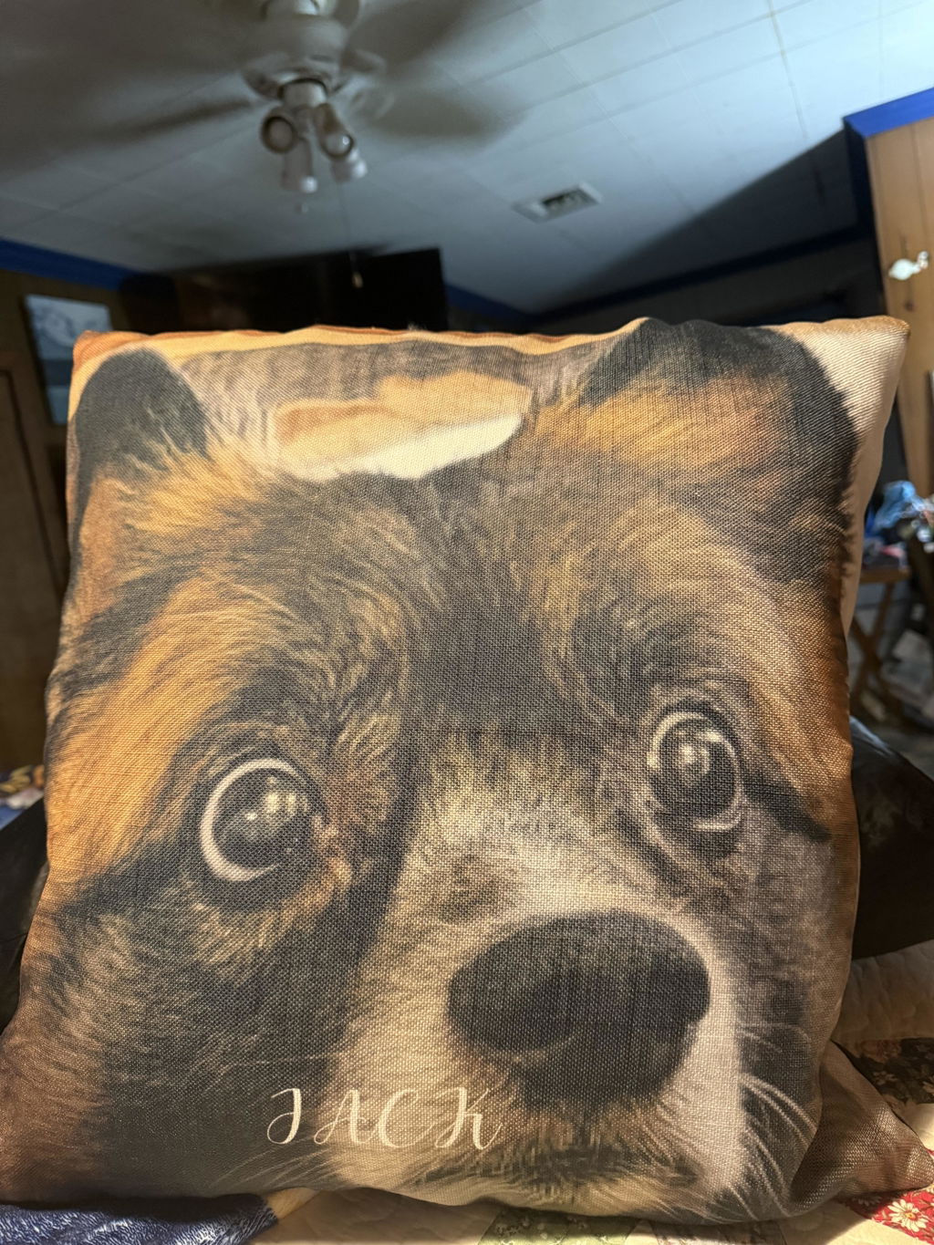 Include Pillow Insert?