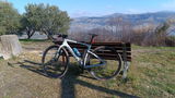 Daniele review photo