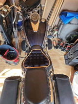 Bryan Buss review photo