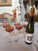 Tanja Wendel review photo