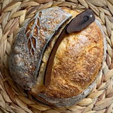 FermentandFable review photo