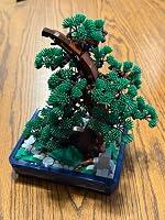 Ryan S review photo
