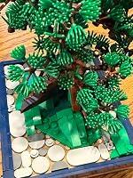 Ryan S review photo