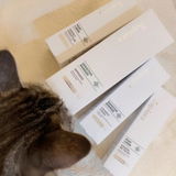pal*** (Qoo10 Review) review photo