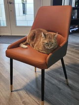 Cathy review photo