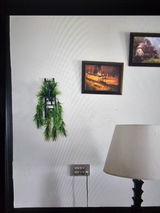 Anonymous review photo