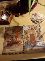 Dragglock E. review photo