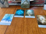 Lynn B. review photo
