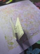 Ann Bramlet review photo
