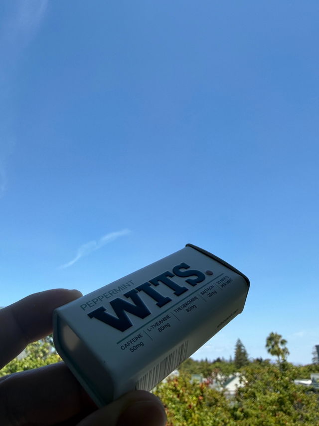 Photo attached to Steve.P’s WITS review