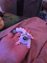 Josh W. review photo