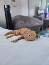 Josh W. review photo