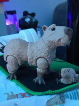 Josh W. review photo