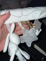 s***v review photo