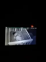 N***s review photo