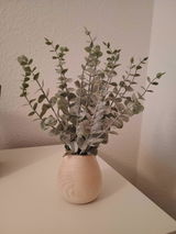 Dajana review photo