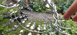 Rosi M. review photo