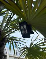 Bodhi Y. review photo