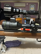 Damian Croatto review photo