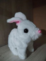 Marko J. review photo