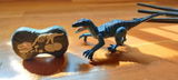 Peter S. review photo