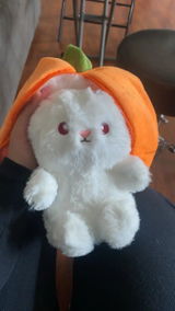 Heimo R. review photo