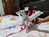 Thomas N. review photo