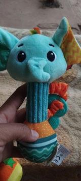 Thomas N. review photo