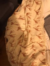 Anonymous review photo