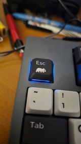 Anonymous review photo