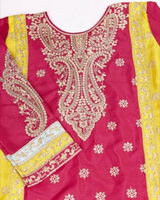 Amisha Ozha review photo