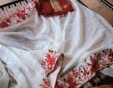 Nisha Devi review photo