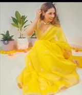 Roshni review photo