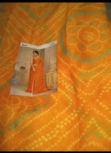 Minati MItra review photo
