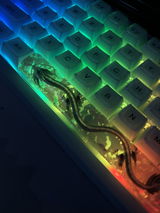 Anonymous review photo