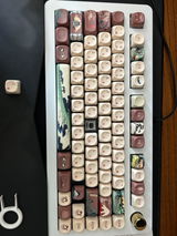 snail review photo