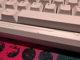 Isaac MS review photo