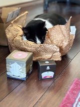 patches & nic review photo