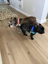 Anonymous review photo