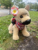 plushiegalore review photo