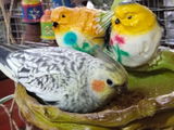 Vijeesh Order no 1514 review photo