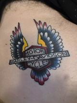Craig Sowerby review photo