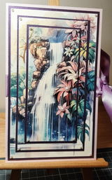 Tiina O. review photo